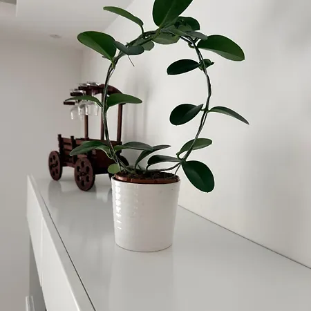 Wunderschoeneshaeuschen In Ruhiger Lage Apartment Garbsen